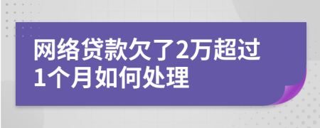 网络贷款欠了2万超过1个月如何处理