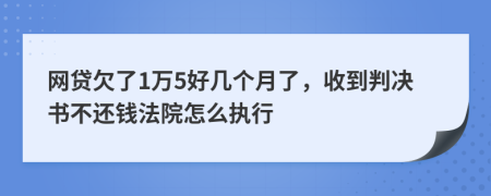 网贷欠了1万5好几个月了，收到判决书不还钱法院怎么执行