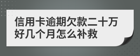 信用卡逾期欠款二十万好几个月怎么补救