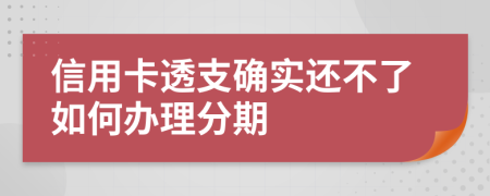 信用卡透支确实还不了如何办理分期