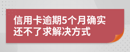 信用卡逾期5个月确实还不了求解决方式