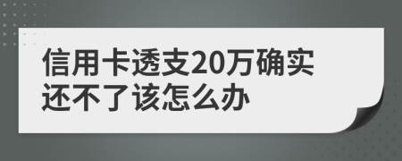 信用卡透支20万确实还不了该怎么办