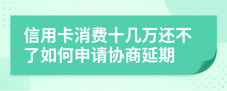 信用卡消费十几万还不了如何申请协商延期