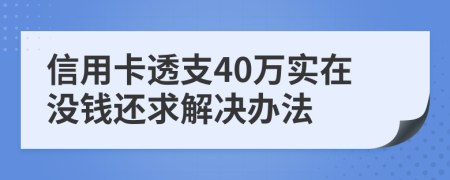 信用卡透支40万实在没钱还求解决办法