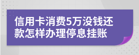 信用卡消费5万没钱还款怎样办理停息挂账