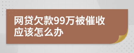 网贷欠款99万被催收应该怎么办