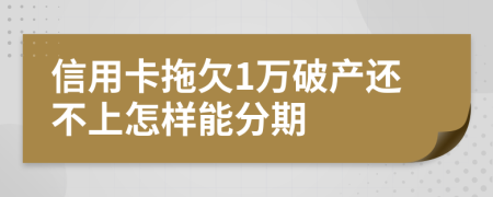 信用卡拖欠1万破产还不上怎样能分期