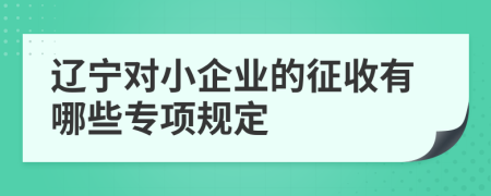 辽宁对小企业的征收有哪些专项规定