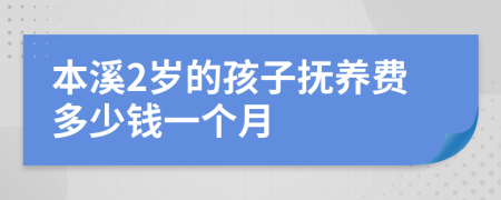 本溪2岁的孩子抚养费多少钱一个月