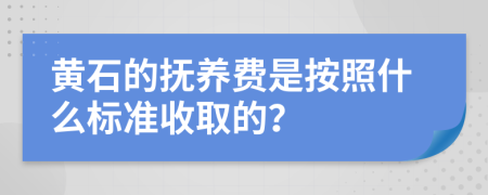 黄石的抚养费是按照什么标准收取的？