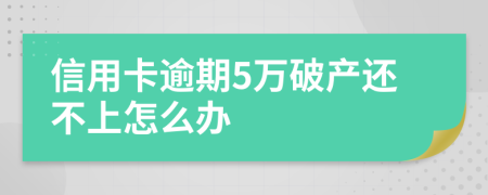 信用卡逾期5万破产还不上怎么办