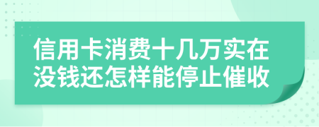 信用卡消费十几万实在没钱还怎样能停止催收