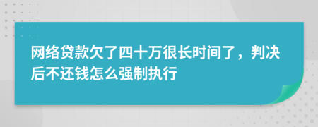 网络贷款欠了四十万很长时间了，判决后不还钱怎么强制执行