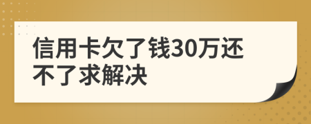 信用卡欠了钱30万还不了求解决