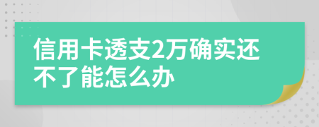 信用卡透支2万确实还不了能怎么办