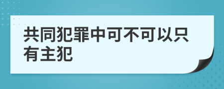 共同犯罪中可不可以只有主犯