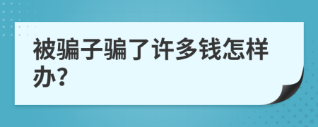 被骗子骗了许多钱怎样办？