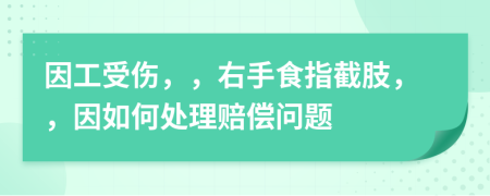 因工受伤，，右手食指截肢，，因如何处理赔偿问题