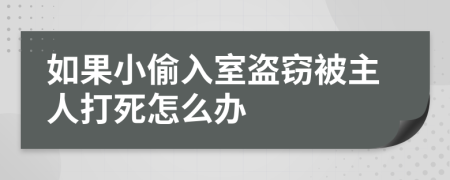 如果小偷入室盗窃被主人打死怎么办