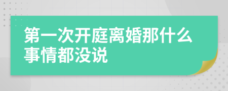 第一次开庭离婚那什么事情都没说