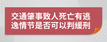 交通肇事致人死亡有逃逸情节是否可以判缓刑