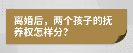 离婚后，两个孩子的抚养权怎样分？