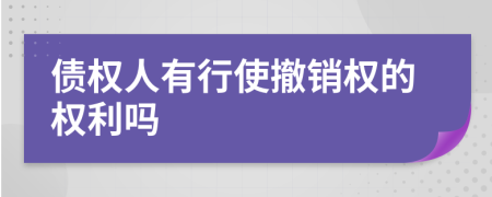 债权人有行使撤销权的权利吗