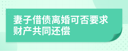 妻子借债离婚可否要求财产共同还偿