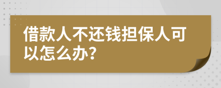 借款人不还钱担保人可以怎么办？