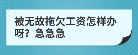 被无故拖欠工资怎样办呀？急急急