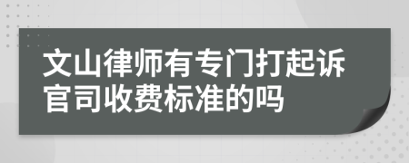 文山律师有专门打起诉官司收费标准的吗
