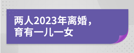 两人2023年离婚，育有一儿一女