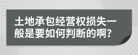 土地承包经营权损失一般是要如何判断的啊？