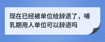 现在已经被单位给辞退了，哺乳期用人单位可以辞退吗