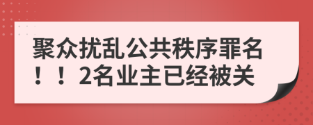 聚众扰乱公共秩序罪名！！2名业主已经被关