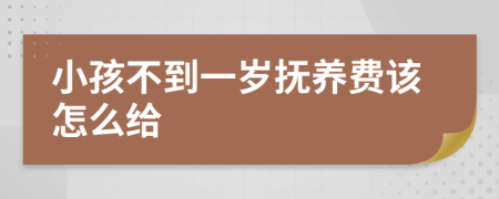 小孩不到一岁抚养费该怎么给