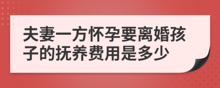 夫妻一方怀孕要离婚孩子的抚养费用是多少