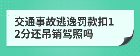 交通事故逃逸罚款扣12分还吊销驾照吗