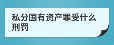 私分国有资产罪受什么刑罚