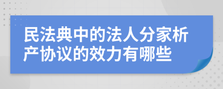 民法典中的法人分家析产协议的效力有哪些