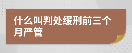 什么叫判处缓刑前三个月严管