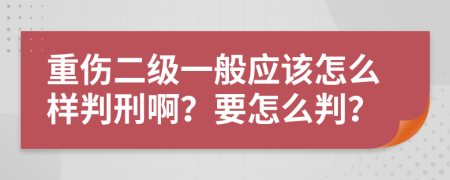 重伤二级一般应该怎么样判刑啊？要怎么判？