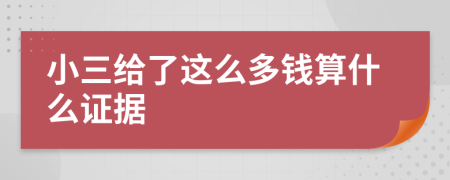 小三给了这么多钱算什么证据