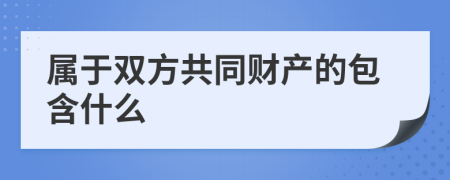 属于双方共同财产的包含什么