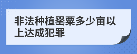 非法种植罂粟多少亩以上达成犯罪