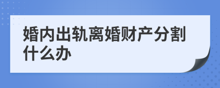 婚内出轨离婚财产分割什么办