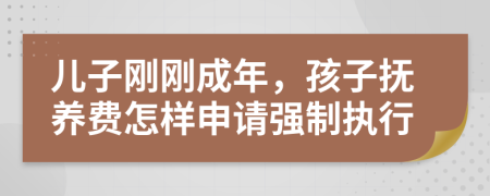 儿子刚刚成年，孩子抚养费怎样申请强制执行