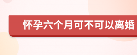 怀孕六个月可不可以离婚