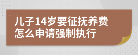 儿子14岁要征抚养费怎么申请强制执行