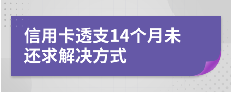 信用卡透支14个月未还求解决方式